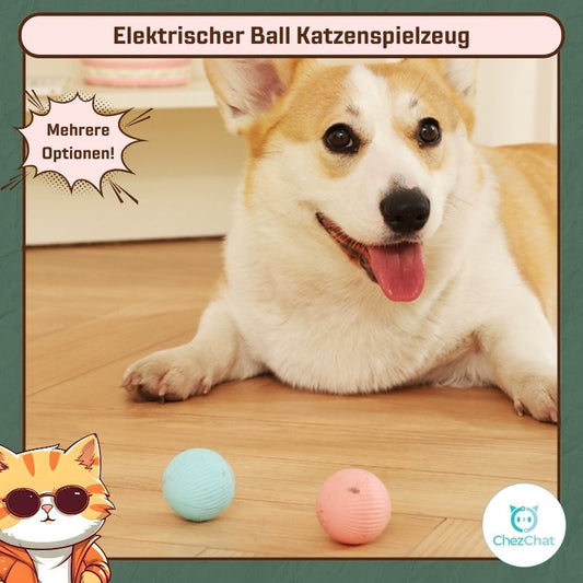 Elektrischer Ball Katzenspielzeug