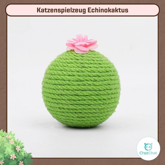 Katzenspielzeug Echinokaktus