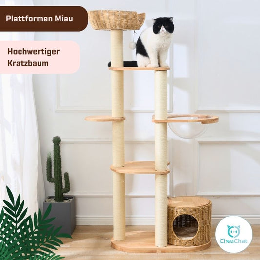 Kratzbaum Plattformen Miau Groß