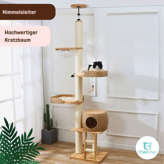 Kratzbaum - Himmelsleiter