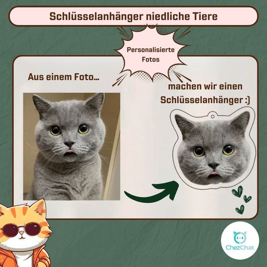 Schlüsselanhänger niedliche Tiere