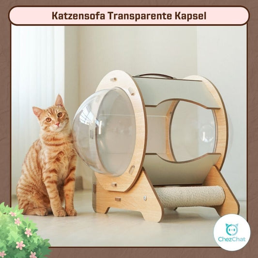 Katzenbett Transparente Kapsel