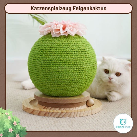 Katzenspielzeug Feigenkaktus