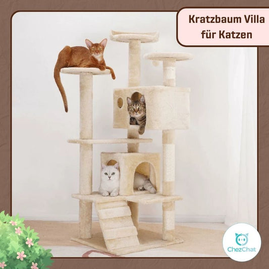 Kratzbaum - Villa für Katzen