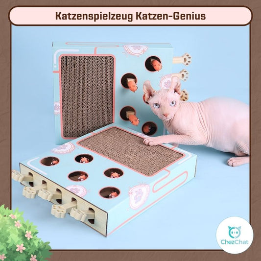 Katzenspielzeug Katzen-Genius