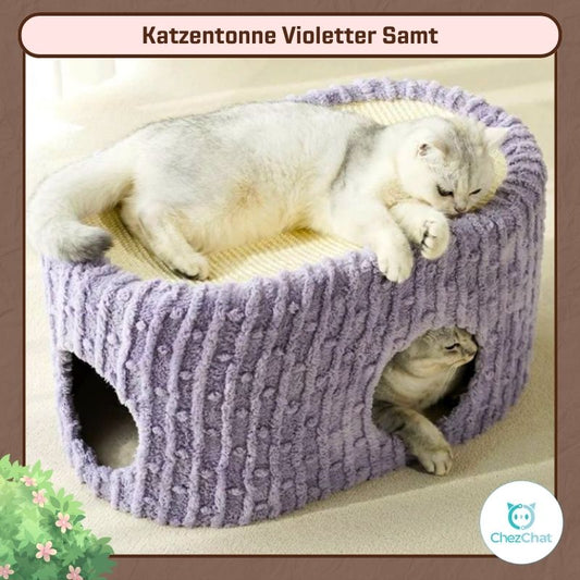 Katzentonne Violetter Samt