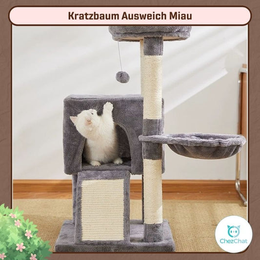 Kratzbaum - Ausweich Miau